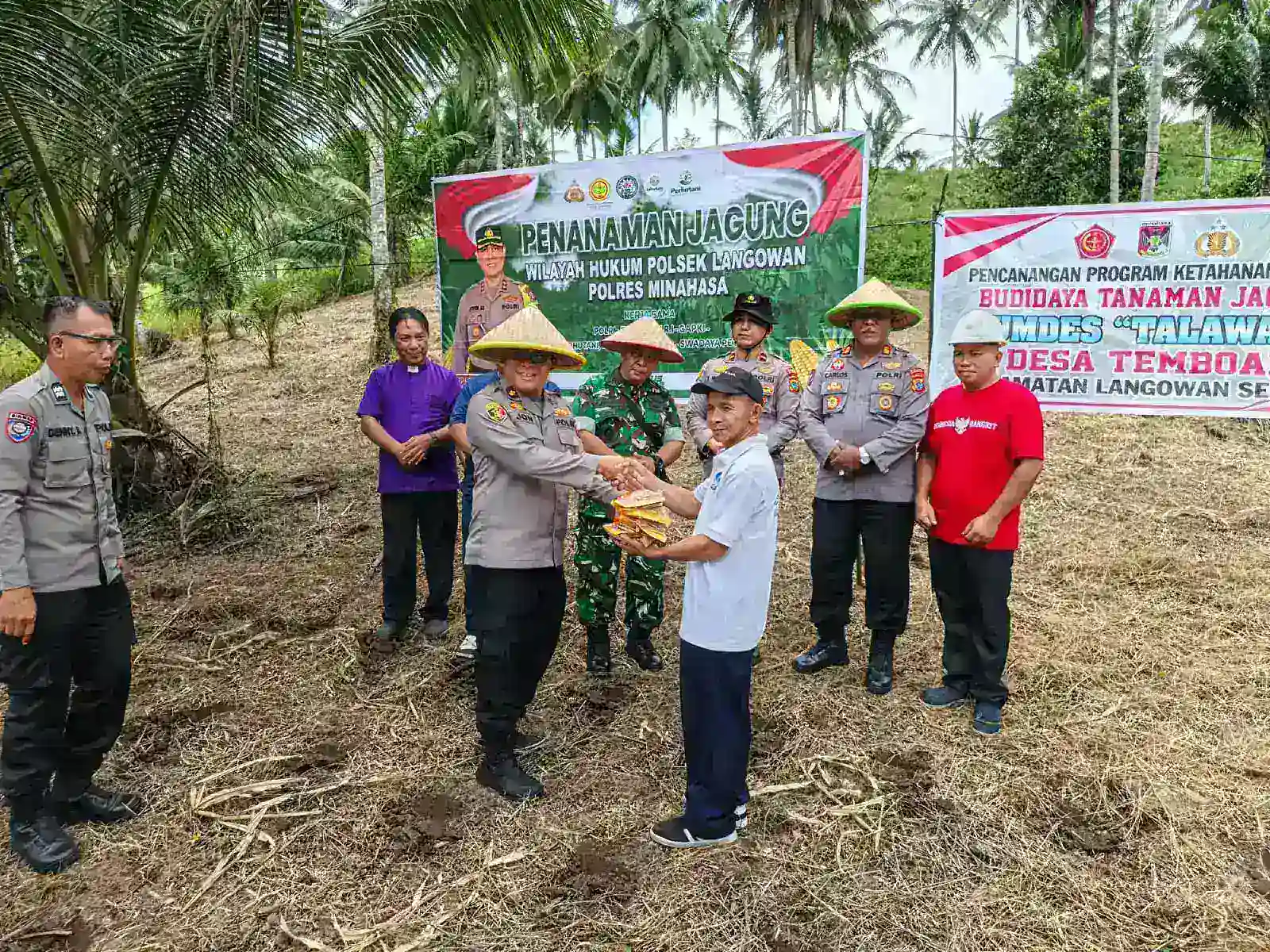  Polsek Langowan Tanam Jagung di Lahan 2 Hektar